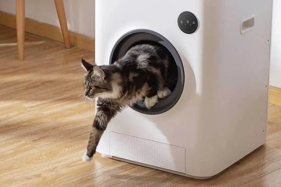 cat litter box automatic